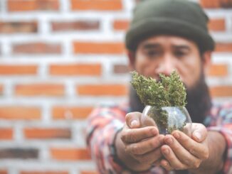 The Cultural and Societal Implications of Cannabis Legalization